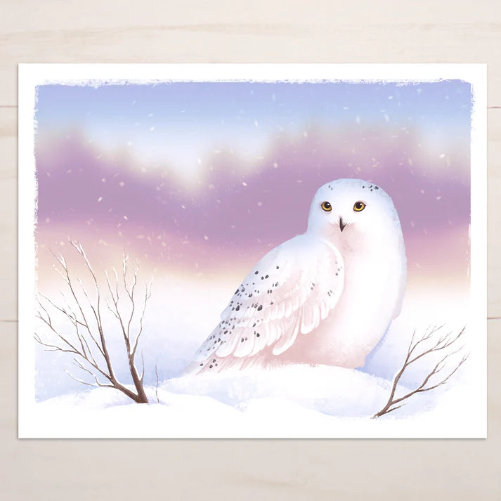 Snow Finch Prints