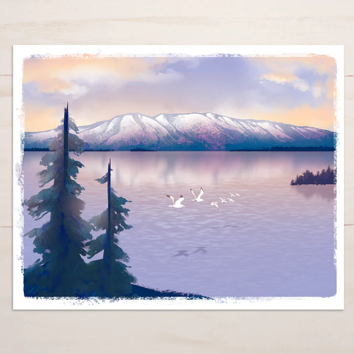 Snow Finch Prints