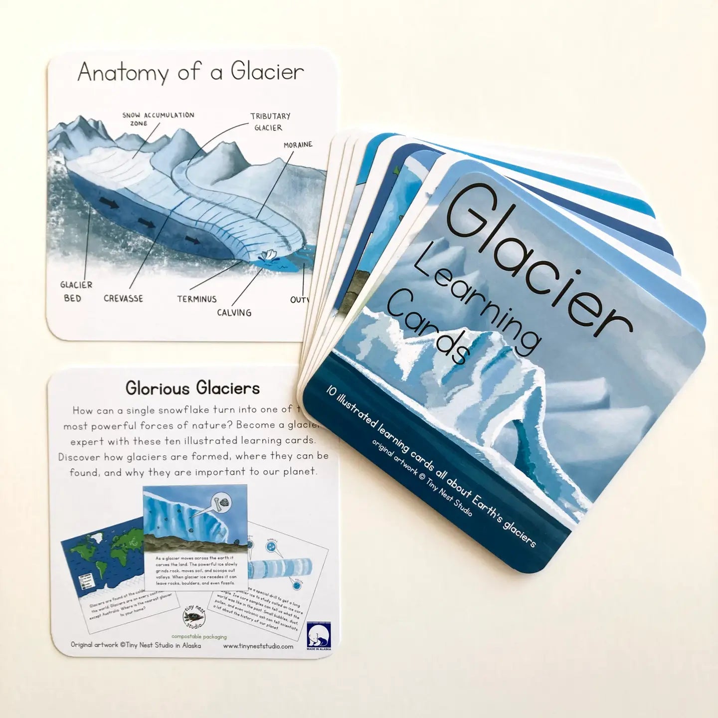 Tiny Nest Studio - Learning Cards