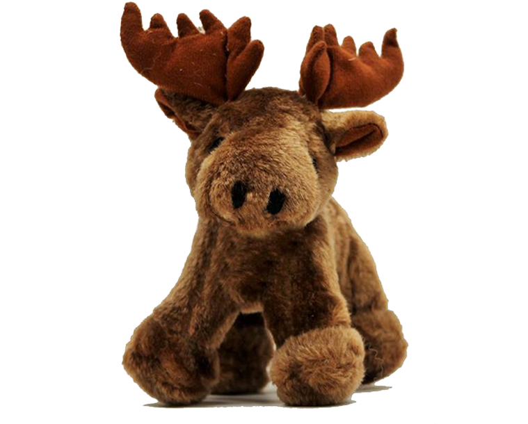 Pet Souvenirs - Dog Toys