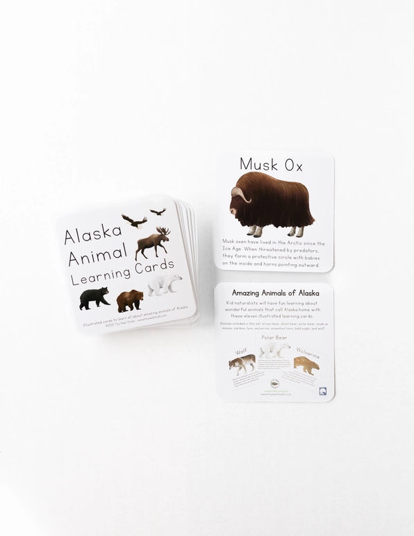 Tiny Nest Studio - Learning Cards