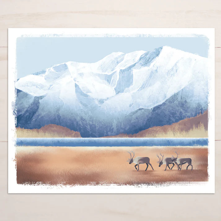 Snow Finch Prints