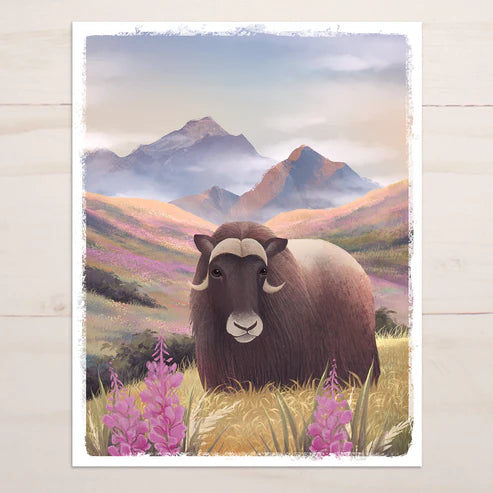 Snow Finch Prints