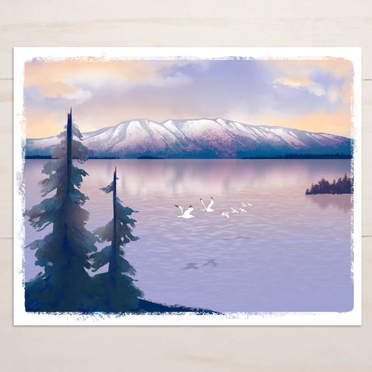 Snow Finch Prints