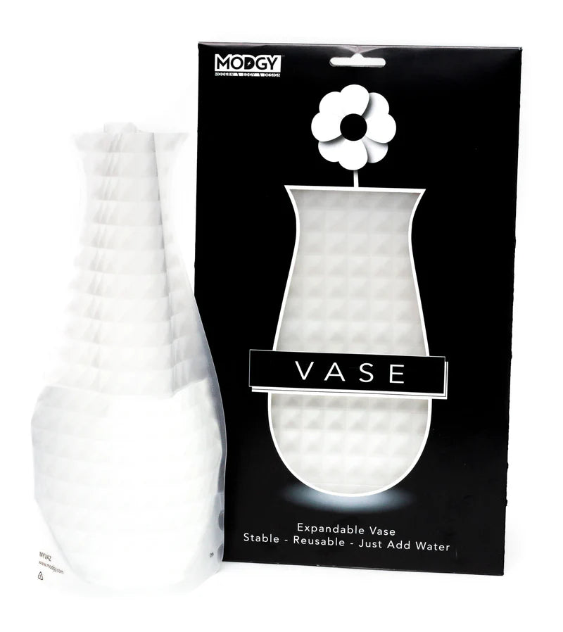 Vases - Modgy