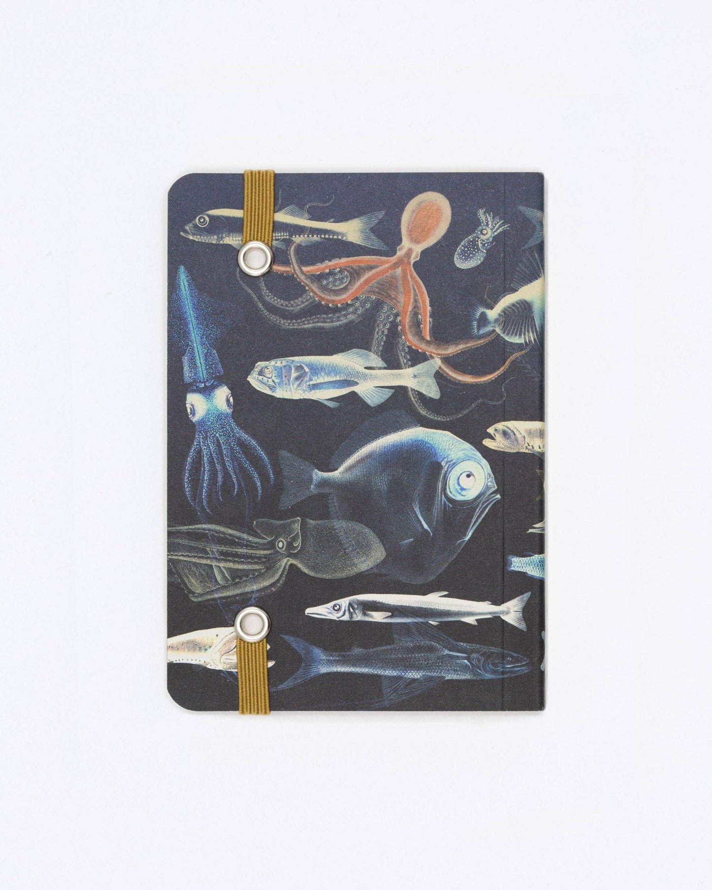 Mysteries of The Deep Observation Softcover