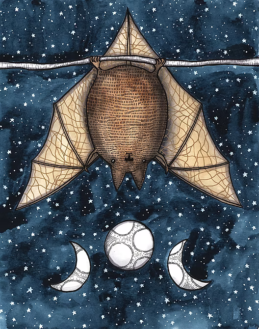Art Prints by Hailey Morgan
