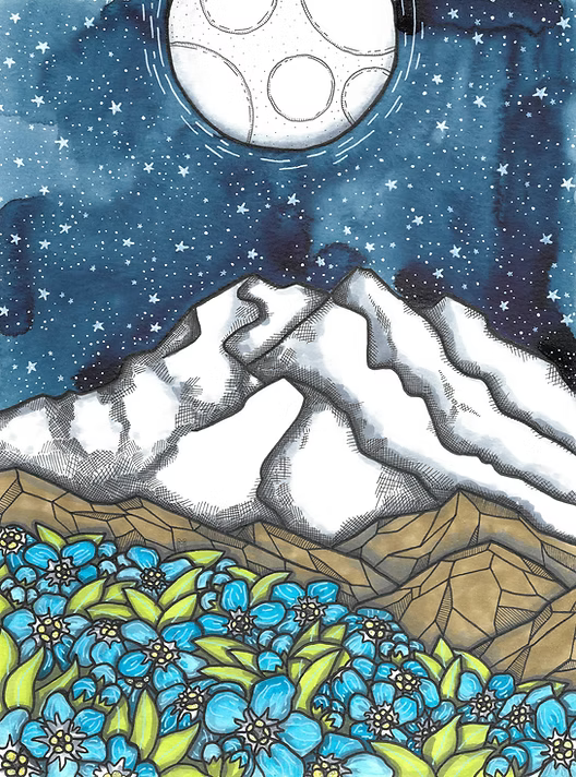 Art Prints by Hailey Morgan