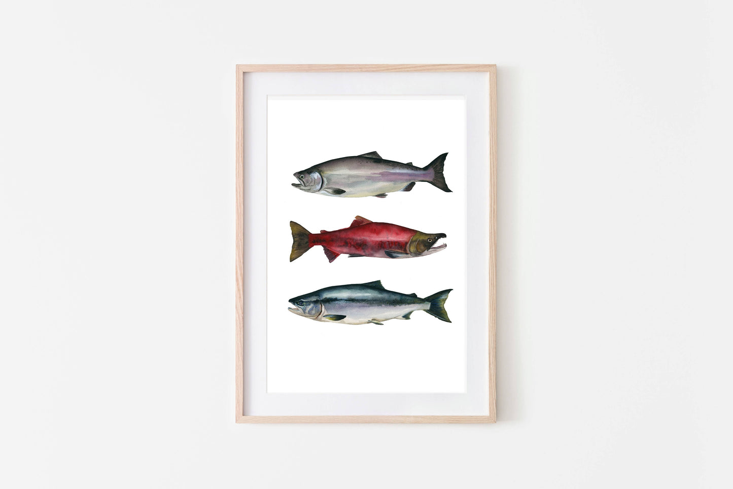 Salmon Trio Art Print