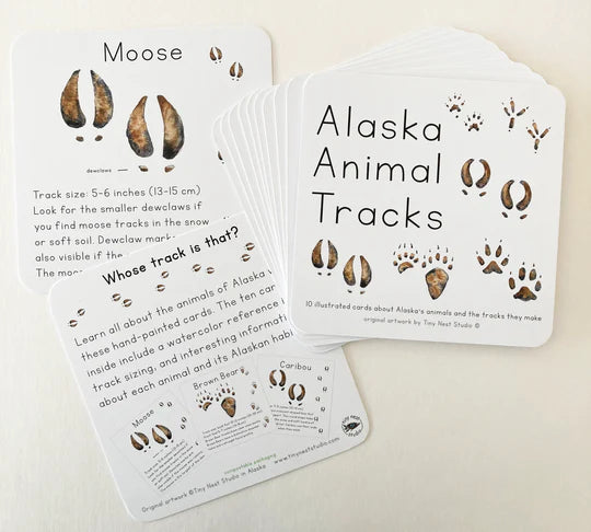 Tiny Nest Studio - Learning Cards