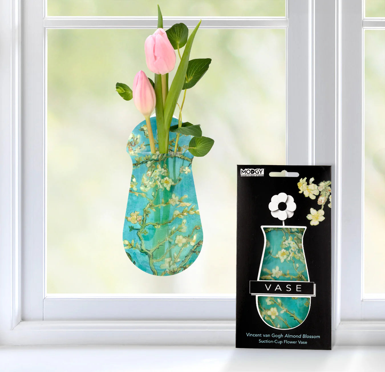 Vases - Modgy