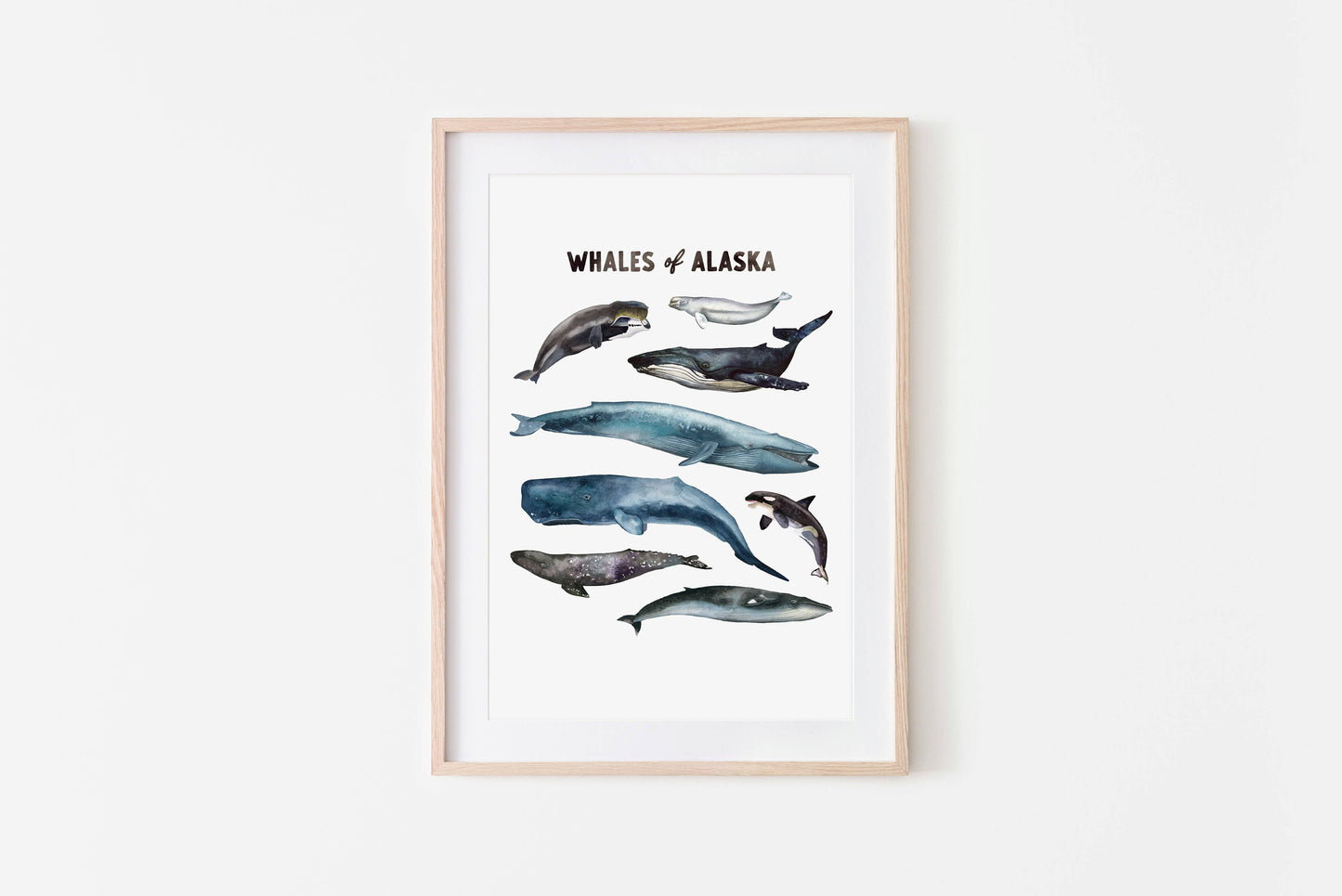 Whales of Alaska Art Print