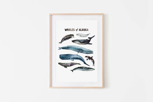 Whales of Alaska Art Print