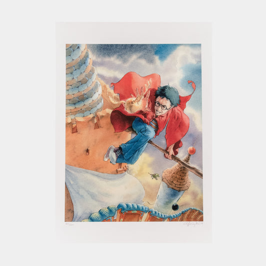"Harry Potter and the Quidditch Match" Print by Cliff Wright